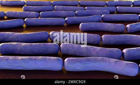 L'antrace è una malattia batterica fatale causata dal batterio Bacillus anthracis, rendering 3d. Foto Stock