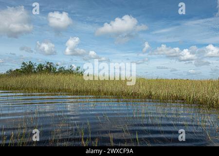 Everglades, Florida, Stati Uniti - 29 luglio 2023: Schermo verde di canne lungo il confine del fiume con onde sotto il paesaggio blu Foto Stock