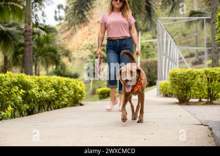 Una donna che indossa gli occhiali da sole sorride mentre guarda il suo cane scatenato camminare davanti a lei, tenendo il guinzaglio in mano. Messa a fuoco selettiva. Foto Stock