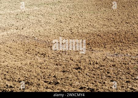 Terreno arato durante la preparazione per la semina di piante agricole Foto Stock