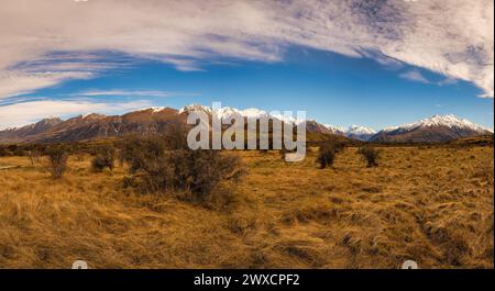 Camminando attraverso le erbe alpine e i cespugli spinosi verso il Monte Sunday (Edoras da il Signore degli anelli) con lo sfondo delle Alpi meridionali innevate Foto Stock