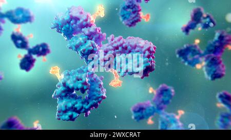 Illustrazione dei coniugati di farmaci anticorpali. I coniugati di farmaci anticorpali possono essere costituiti da un anticorpo monoclonale (blu/viola) e da un carico utile citotossico (arancione) per individuare e distruggere cellule specifiche nel corpo. Foto Stock