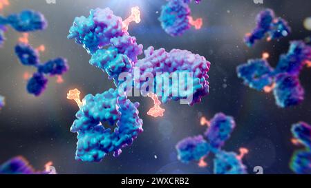 Illustrazione dei coniugati di farmaci anticorpali. I coniugati di farmaci anticorpali possono essere costituiti da un anticorpo monoclonale (blu/viola) e da un carico utile citotossico (arancione) per individuare e distruggere cellule specifiche nel corpo. Foto Stock