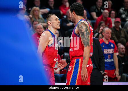 Den Bosch, Paesi Bassi. 29 marzo 2024. DEN BOSCH, PAESI BASSI - MARZO 29: Roberts Stumbris of Heroes Den Bosch durante il match di BNXT League tra Heroes Den Bosch e HUBO LIMBURG UNITED al Maaspoort il 29 marzo 2024 a Den Bosch, Paesi Bassi. (Foto di Gabriel Calvino Alonso/Orange Pictures) credito: Orange Pics BV/Alamy Live News Foto Stock