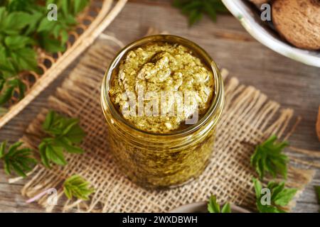 Pesto verde fatto in casa fatto di giovani foglie di alga raccolte all'inizio della primavera Foto Stock