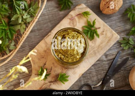 Pesto verde fatto in casa fatto di giovani foglie d'alga - una pianta commestibile selvatica raccolta all'inizio della primavera, vista dall'alto Foto Stock