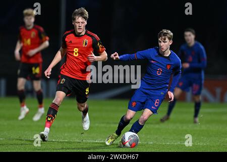 Axl Van Himbeeck (8) del Belgio e Tygo Land (8) dei Paesi Bassi nella foto di una partita di calcio tra le nazionali Under 19 del Belgio e dei Paesi Bassi nella terza giornata del girone 2 della UEFA Under 19 Elite di Veendam, giovedì 26 marzo 2024, paesi Bassi . FOTO SPORTPIX | David Catry Foto Stock