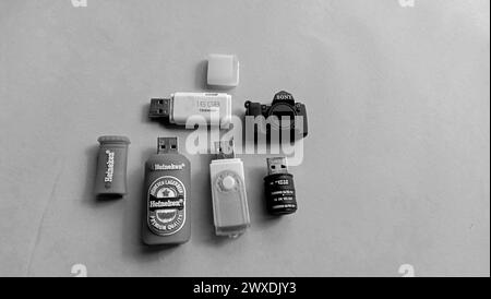 Wadaslintang, 24 febbraio 2021, scheda di memoria fotografica, mouse, disco flash, batteria della fotocamera, scheda SD nella scheda di memoria nera, mouse, flash, batteria della fotocamera, SD c Foto Stock