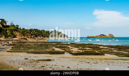 Vista panoramica del tradizionale allevamento di ostriche con la bassa marea in una giornata di sole, sulla costa di Cancale, Bretagna, Francia Foto Stock