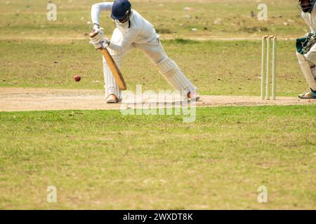 Cricket batsman sta giocando un colpo difensivo in avanti Foto Stock