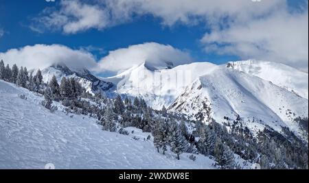 Maestose vette dei Pirin ricoperte di neve. Panorama invernale presso la stazione sciistica di Bansko in Bulgaria Foto Stock