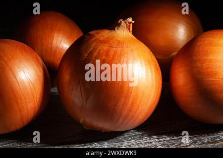 cipolle su sfondo di legno nero Foto Stock