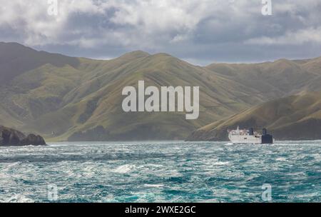 Un traghetto in rotta da Wellington sull'Isola del Nord è visto mentre si dirige verso il Queen Charlotte Sound (Tōtaranui) e Picton all'estremità nord di Foto Stock