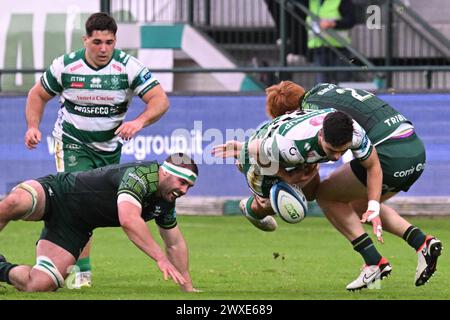 Treviso, Italia. 30 marzo 2024. Azioni del gioco e immagini dei giocatori durante la 13a giornata del CAMPIONATO DI RUGBY - UNITED RUGBY tra BENETTON RUGBY e CONNACHT allo Stadio Monigo, Italia 30, il Â marzo 2024 durante la partita Benetton Rugby vs Connacht Rugby, United Rugby Championship a Treviso, Italia, marzo 30 2024 credito: Agenzia fotografica indipendente/Alamy Live News Foto Stock