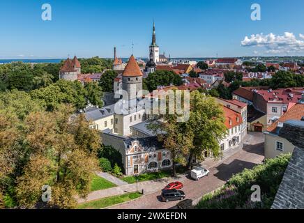 Tallinn, città vecchia dell'Estonia. Foto Stock