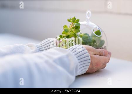 Le mani di un uomo stanno tenendo con cura un Terrarium naturale con una sfera di vetro habitat su uno sfondo neutro e morbido. Cura e sostentamento del pianeta Foto Stock