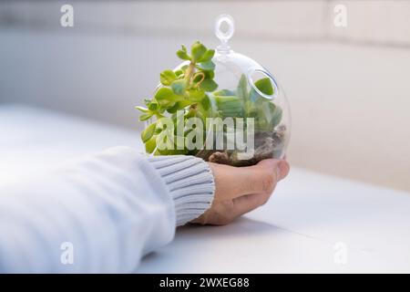 La mano di un uomo tiene in mano un terrario naturale con una sfera di vetro micro Habitat su uno sfondo morbido e neutro. La cura del pianeta e la sostenibilità per Foto Stock