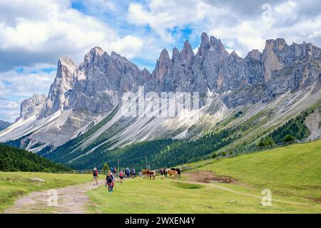 Escursionisti su un sentiero in un prato d'alpe, sulle possenti montagne del gruppo delle Odle, nelle Dolomiti di Ortisei, Val Gardena, Italia, Ortisei, Val Gardena, Italia Foto Stock