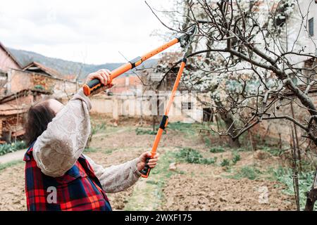 Donna anziana che potava i rami di mele. Tempo di primavera Foto Stock