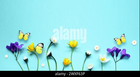 Adagiato con splendidi fiori di prato e farfalla su sfondo blu. Foto Stock