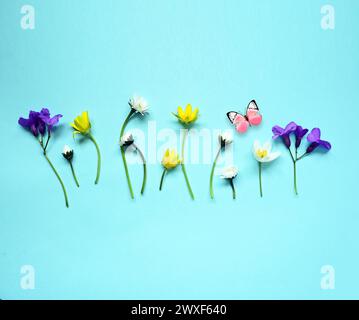 Adagiato con splendidi fiori di prato e farfalla su sfondo blu. Foto Stock