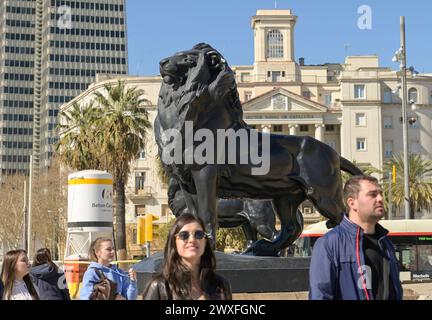 Bronzelöwen, Monumento a Colom, Barcellona, Katalonien, spagnolo *** leoni di bronzo, Monumento a Colom, Barcellona, Catalogna, Spagna Foto Stock