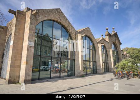 Schifffahrtsmuseum Les Drassanes Reials, Barcellona, Katalonien, spagnolo *** Museo marittimo Les Drassanes Reials, Barcellona, Catalogna, Spagna Foto Stock