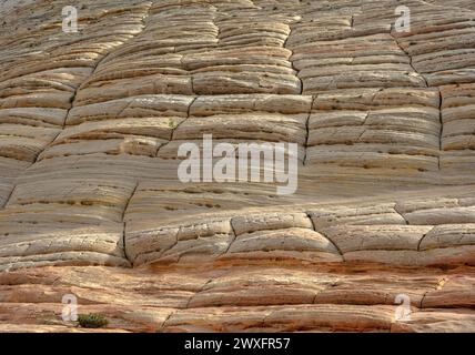 Superficie dello scacchiere Mesa nel Parco Nazionale di Zion Foto Stock