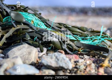 Un po' di vecchia corda verde proveniente da una rete da pesca si aggroviglia in alghe su una spiaggia. Profondità di campo ridotta, focalizzarsi sulla fune. Foto Stock