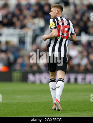 Newcastle, Regno Unito. 30 marzo 2024. Harvey Barnes del Newcastle United durante la partita di Premier League tra Newcastle United e West Ham United a St. James's Park, Newcastle, sabato 30 marzo 2024. (Foto: Mark Fletcher | mi News) crediti: MI News & Sport /Alamy Live News Foto Stock