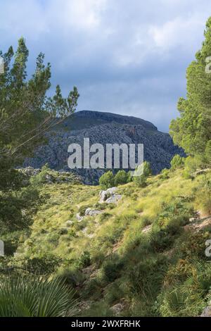 Montagne intorno a Puig de Galatzo a Maiorca Foto Stock