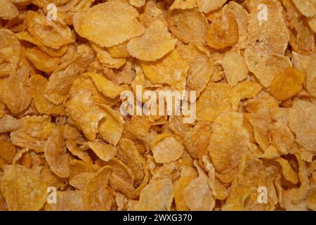 Primo piano di deliziosi cereali in fiocchi di mais dorati croccanti su una ciotola bianca Foto Stock