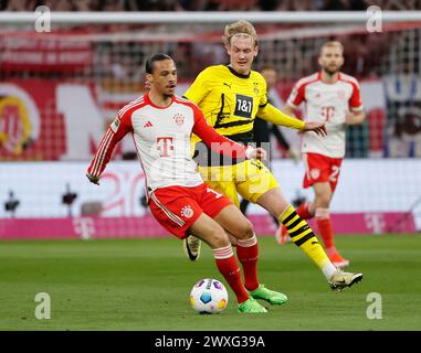 Monaco, Germania. 30 marzo 2024. Leroy sane (L) del Bayern Munich vies con Julian Brandt del Borussia Dortmund durante la partita di calcio tedesca di prima divisione tra Bayern Monaco e Borussia Dortmund a Monaco, Germania, 30 marzo 2024. Crediti: Philippe Ruiz/Xinhua/Alamy Live News Foto Stock