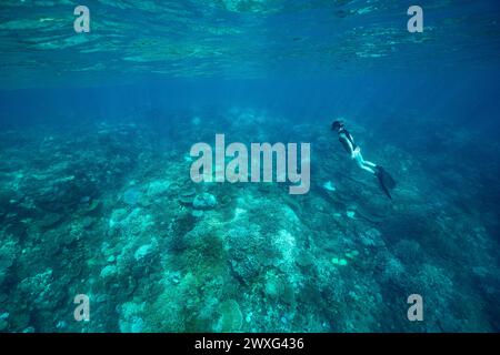Un subacqueo gratuito che esplora lo sbiancamento dei coralli nella laguna di Mayotte a causa di una stagione secca davvero dura Foto Stock