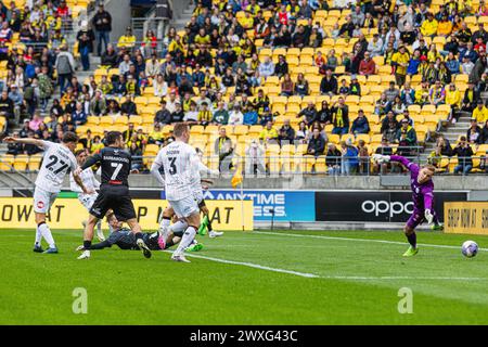 Wellington, nuova Zelanda. 31sr marzo 2024. A-League - Wellington Phoenix vs. Brisbane Roar. Domenica 31 marzo 2024. L'ala di Wellington Phoenix, Bozhidar Kraev, passa da vicino al portiere di Brisbane Roar Macklin Freke per dare il comando ai phoenix durante la partita di A-League tra Wellington Phoenix e Brisbane Roar. Crediti: James Foy/Alamy Live News Foto Stock