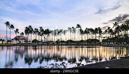 Tramonto sulle palme alla spiaggia di Ala Moana a Honolulu, isola di Oahu delle Hawaii, Stati Uniti Foto Stock