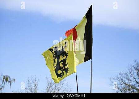 Kluisbergen, Belgio. 31 marzo 2024. La bandiera belga e fiamminga raffigurata al Paterberg durante la gara maschile del 'Ronde van Vlaanderen/ Tour des Flandres/ Tour of Flanders', evento ciclistico di un giorno, 270 km da Anversa a Oudenaarde, domenica 31 marzo 2024. BELGA PHOTO TOM GOYVAERTS credito: Belga News Agency/Alamy Live News Foto Stock