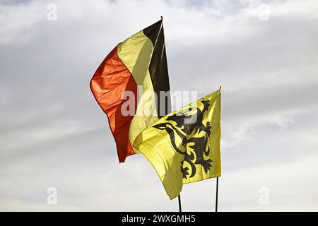 Kluisbergen, Belgio. 31 marzo 2024. La bandiera belga e fiamminga raffigurata al Paterberg durante la gara maschile del 'Ronde van Vlaanderen/ Tour des Flandres/ Tour of Flanders', evento ciclistico di un giorno, 270 km da Anversa a Oudenaarde, domenica 31 marzo 2024. BELGA PHOTO TOM GOYVAERTS credito: Belga News Agency/Alamy Live News Foto Stock