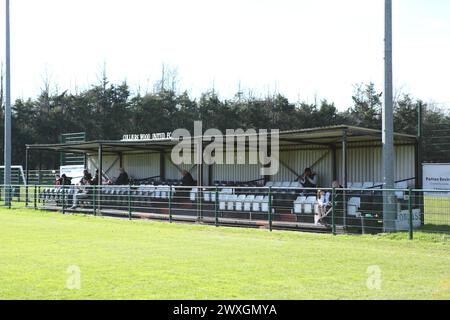 Wibbandune, campo da calcio Colliers Wood FC, Robin Hood Way, Londra - la Combined Counties League è in piedi con posti a sedere Foto Stock