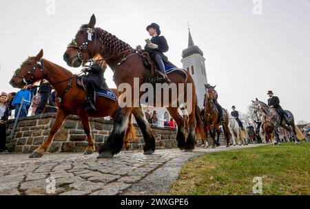 Sorbische Osterreiter reiten an Ostersonntag 31.03.2024 von Ralbitz in der Lausitz in der traditionellen Osterprozession zu der Nachbargemeinde Wittichenau. In neun Prozessionen verkuendeten die Osterreiter am Sonntag in der Oberlausitz die biblische Botschaft von der Auferstehung von Jesus Christus. BEI den Sorben Wird Dieser Brauch des Oster- oder Kreuzreitens seit mehr als fuenf Jahrhunderten gepflegt. Die Prozessionen fuehren von der Heimatkirche der sorbischen Reiter bis ins naechste Dorf. Der Brauch ist ausschliesslich Maennern vorbehalten. Von ihren festlich geschmueckten Pferden aus si Foto Stock