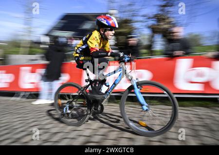 Kluisbergen, Belgio. 31 marzo 2024. L'immagine mostra un giovane appassionato di ciclismo che sale sul Paterberg durante la gara maschile del 'Ronde van Vlaanderen/ Tour des Flandres/ Tour of Flanders', evento ciclistico di un giorno, 270 km da Anversa a Oudenaarde, domenica 31 marzo 2024. BELGA PHOTO TOM GOYVAERTS credito: Belga News Agency/Alamy Live News Foto Stock