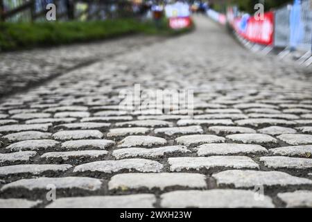 Kluisbergen, Belgio. 31 marzo 2024. L'immagine mostra i ciottoli del Paterberg durante la gara maschile del 'Ronde van Vlaanderen/ Tour des Flandres/ Tour of Flanders', evento ciclistico di un giorno, 270 km da Anversa a Oudenaarde, domenica 31 marzo 2024. BELGA PHOTO TOM GOYVAERTS credito: Belga News Agency/Alamy Live News Foto Stock