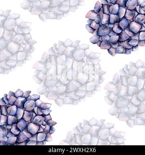 Cornice ad acquerello disegnata a mano con ortensie. Composizione floreale per decorazione e design Foto Stock