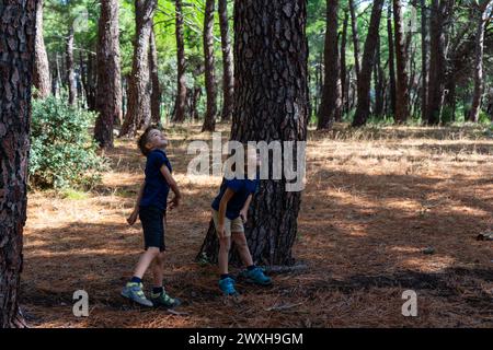 Due bambini nel bosco che guardano qualcosa che hanno lanciato Foto Stock