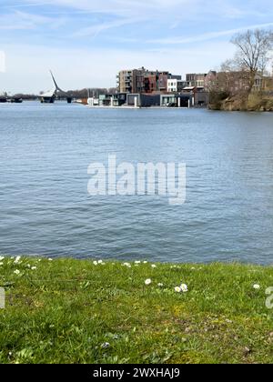il pittoresco panorama si dispiega sul fiume, catturando il ponte Prins Clausbrug e lo sviluppo abitativo di Stadswerven a Dordrecht, che rappresenta la quintessenza Foto Stock