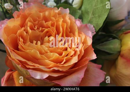 Una rosa arancione tra fiori bianchi e rosa in un vaso di vetro Foto Stock