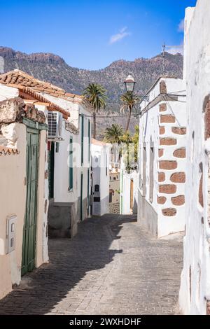 Vicolo a Santa Lucia de Tirajana sull'isola di Gran Canaria, Isole Canarie, Spagna. Palme e montagne sullo sfondo. Foto Stock