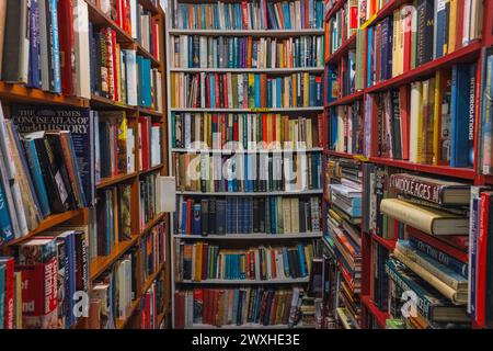 Massa di libri usati sugli scaffali di una libreria di seconda mano Foto Stock