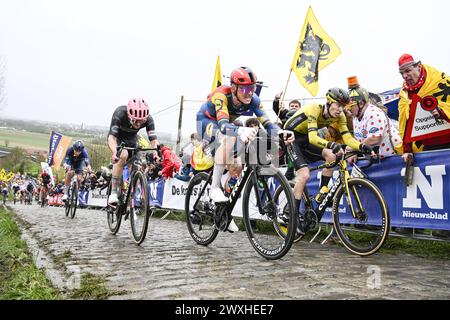 Kluisbergen, Belgio. 31 marzo 2024. Danese Mads Pedersen di Lidl-Trek nella foto al Paterberg durante la gara maschile della 'Ronde van Vlaanderen/ Tour des Flandres/ Tour of Flanders', evento ciclistico di un giorno, 270 km da Anversa a Oudenaarde, domenica 31 marzo 2024. BELGA PHOTO TOM GOYVAERTS credito: Belga News Agency/Alamy Live News Foto Stock