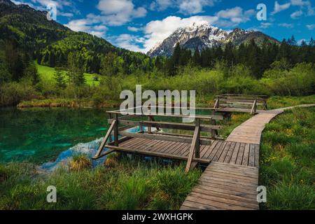 Splendido piccolo lago turchese di montagna in Slovenia. Ponte in legno e sentiero escursionistico vicino al lago Zelenci, è la sorgente del fiume Sava Dolinka, Kran Foto Stock